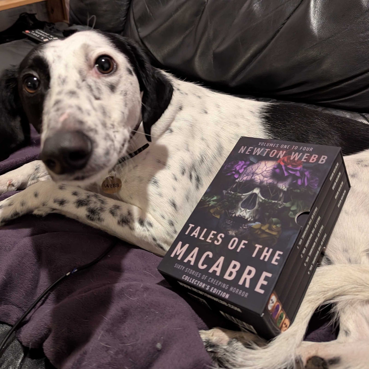 Tales of the Macabre: Books 1-4 | Collector's Edition | Paperback Boxed Set